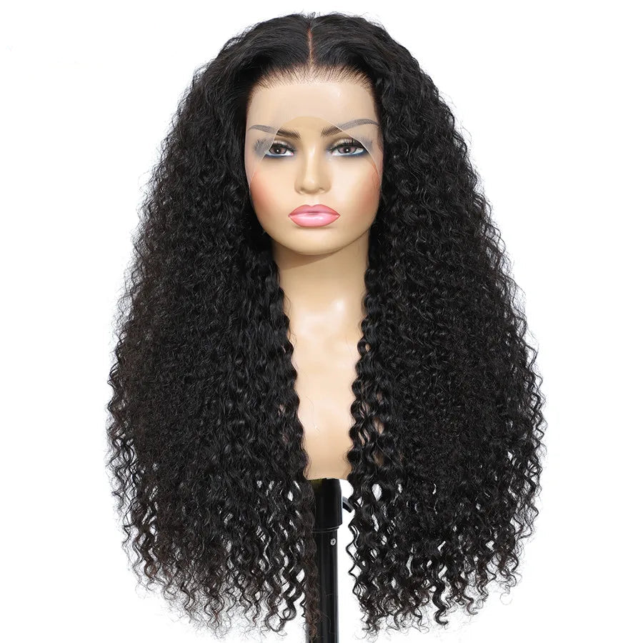 Raw Vietnamese Curly Human Hair Wigs 250 Density 13X4 HD Transparent Lace Frontal Wig Pre Plucked Black Wig 100% Human Hair