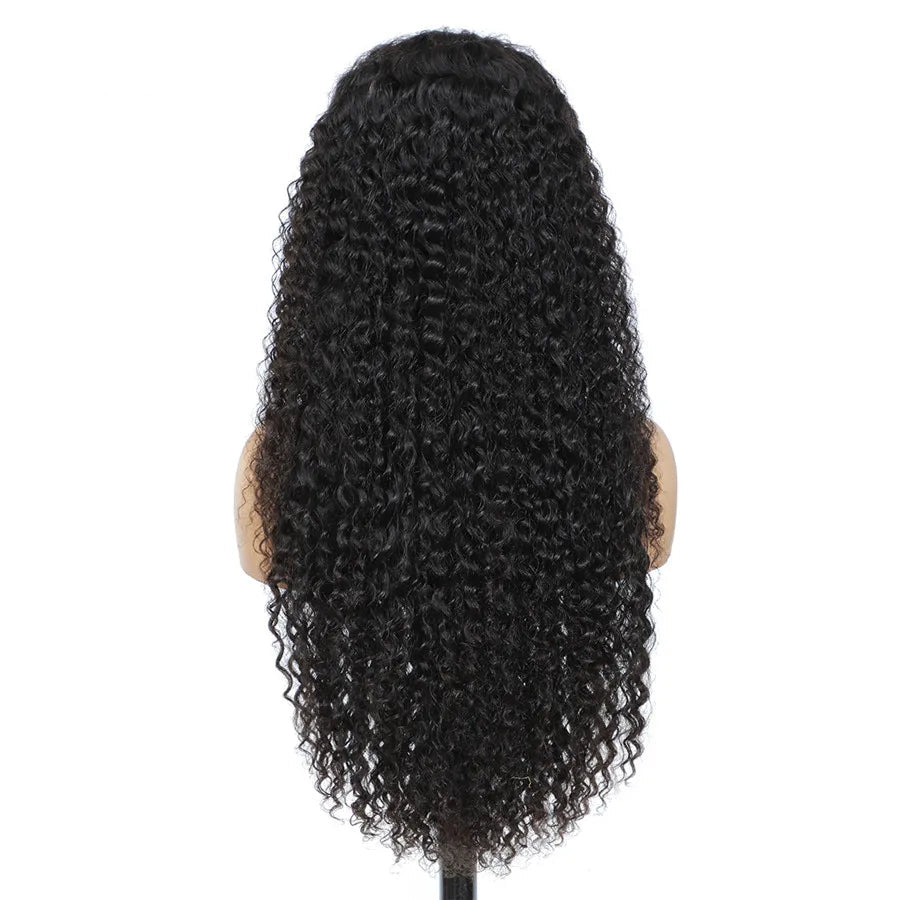 Raw Vietnamese Curly Human Hair Wigs 250 Density 13X4 HD Transparent Lace Frontal Wig Pre Plucked Black Wig 100% Human Hair