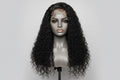 Raw Vietnamese Curly Human Hair Wigs 250 Density 13X4 HD Transparent Lace Frontal Wig Pre Plucked Black Wig 100% Human Hair